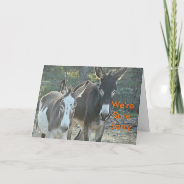 Sorry Mules-customise Card (Front)