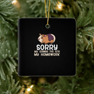 Sorry My Guinea Pig Ate My Homework Cute Pet Ceramic Ornament