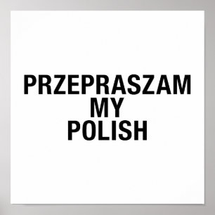 Sorry My Polish Language Poster