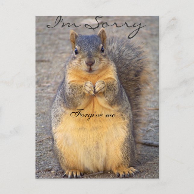 Sorry_ Postcard (Front)