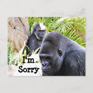 Sorry!_ Postcard