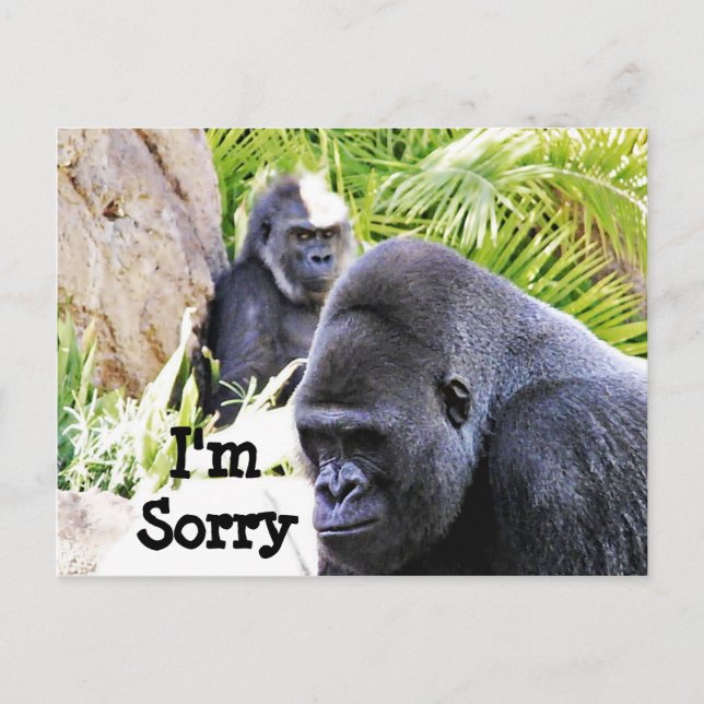 Sorry!_ Postcard (Front)