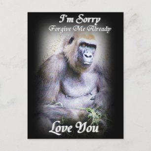 Sorry_ Postcard