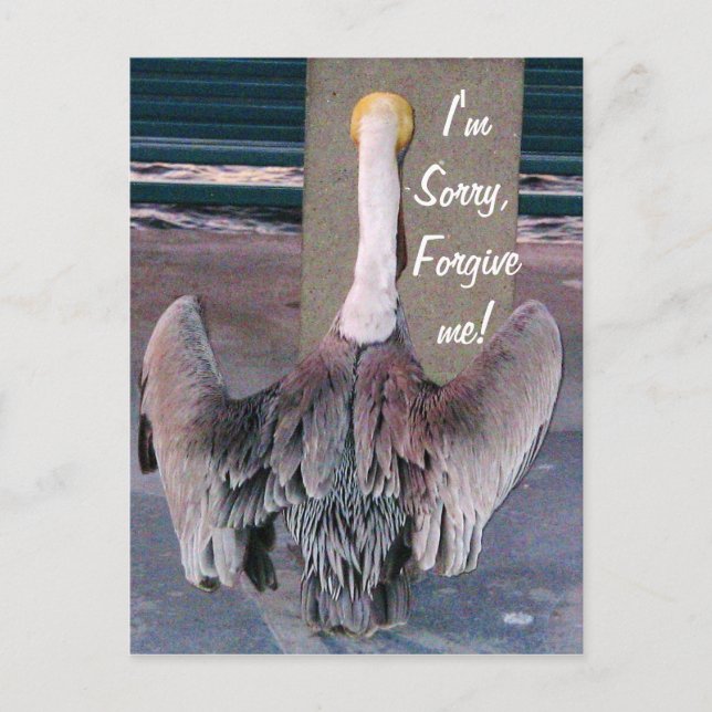 Sorry_ Postcard (Front)