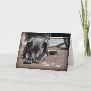 Sorry Puppy  Greeting Card