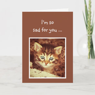 Sorry so Sad for You Encouraging Kitten Animal Card