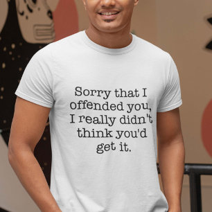 Sorry That I Offended You
