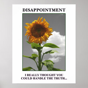 Sorry to disappoint you but you disappoint me [S] Poster