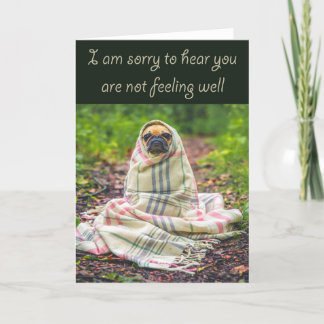 Sorry to hear you are not well, Pug in blanket, Card