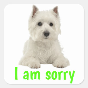 Sorry  West Highland Terrier  Puppy Dog Square Sticker