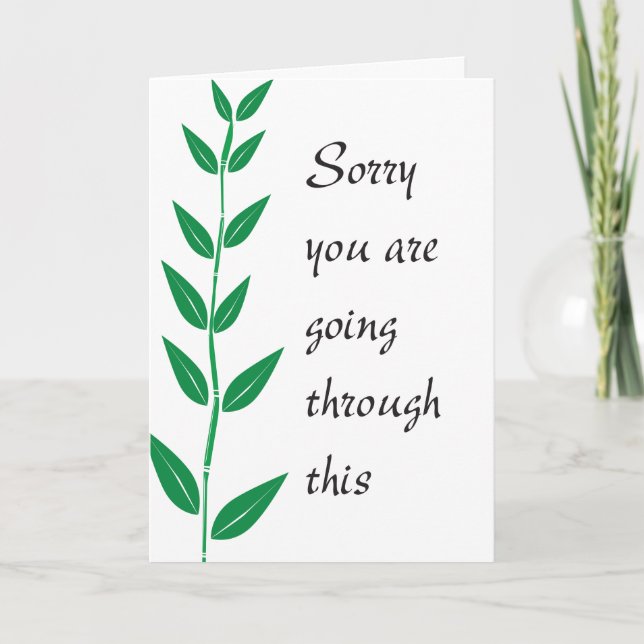 Sorry you are going through this card (Front)