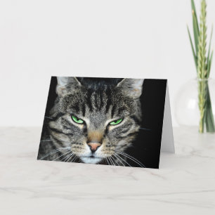 Sorry you say, I don't think so, Sarcastic Angry Card