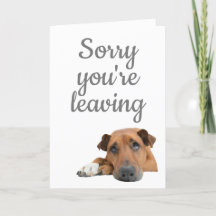 Sorry you're leaving sad dog blank