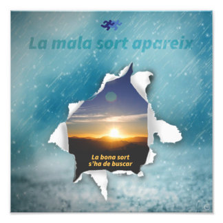 Sort Photo Print