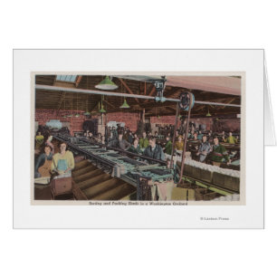 Sorting and Packing Factory & Workers (Interior)