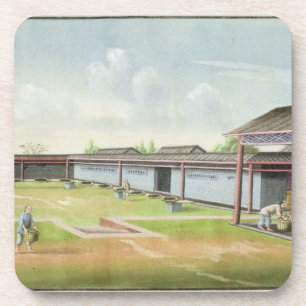 Sorting small leaves for drying (w/c on paper) coaster