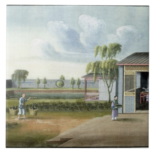 Sorting tea (w/c on paper) tile (Front)