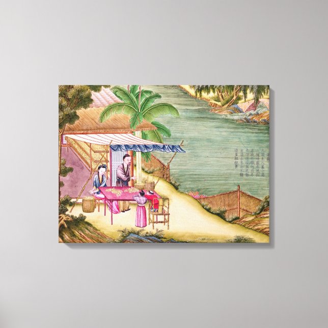 Sorting the Cocoons Canvas Print (Front)