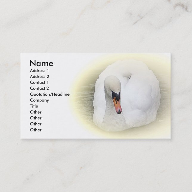Sost swan business card (Front)