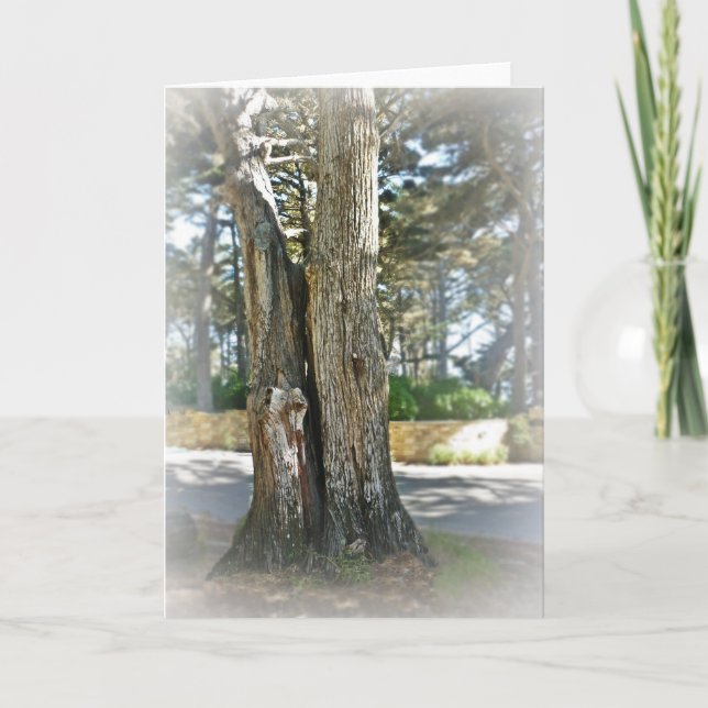 Soul Mates Card (Front)