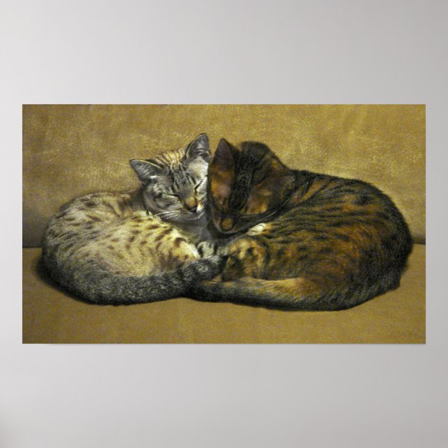 Soul Mates Poster (Front)