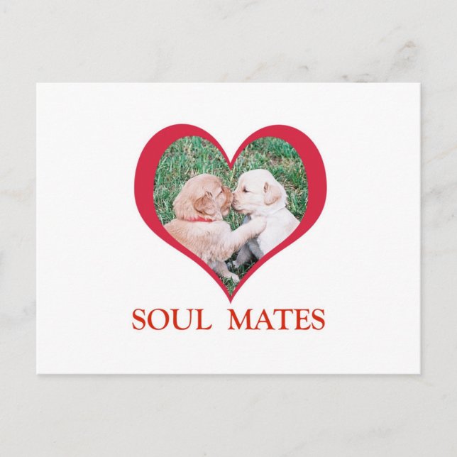 Soul Mates Shirts, Cards, Mugs Postcard (Front)