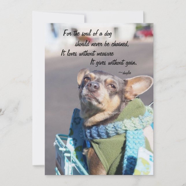 Soul of a Dog - Chihuahua Holiday Card (Front)