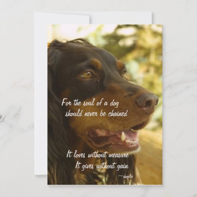 Soul of a Dog Holiday Card (Front)