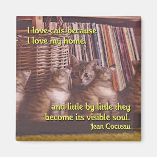 Soul of a Home Cat Magnet
