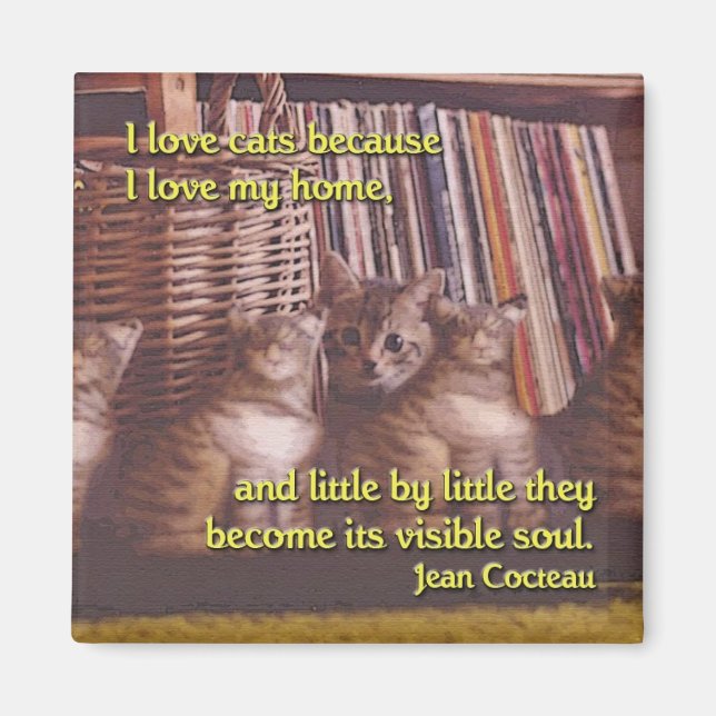 Soul of a Home Cat Magnet (Front)