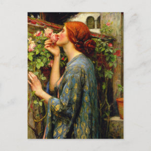 Soul of the Rose John William Waterhouse Postcard