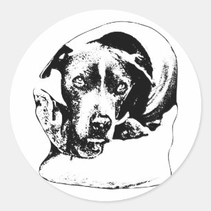 Soulful Autumn Pup Classic Round Sticker