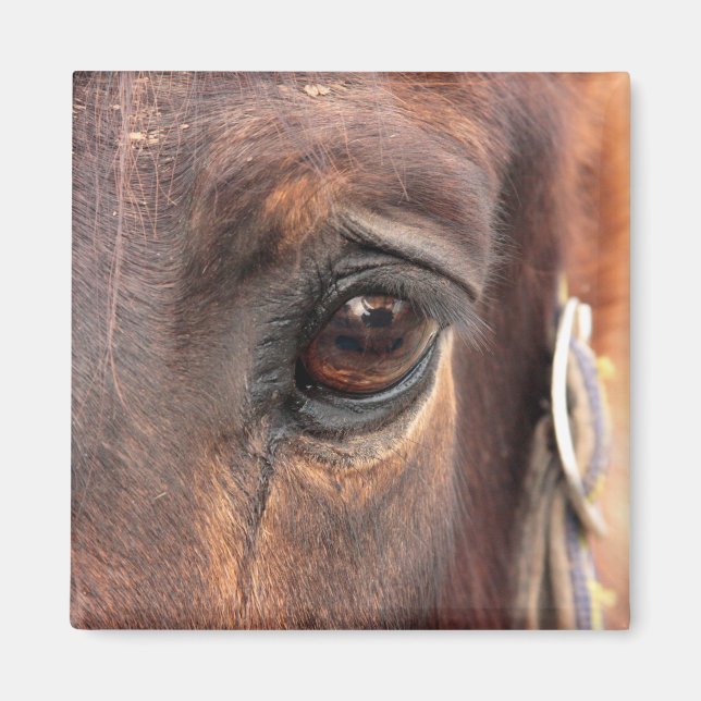 Soulful Eye Magnet (Front)