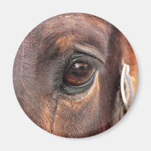 Soulful Eye Magnet