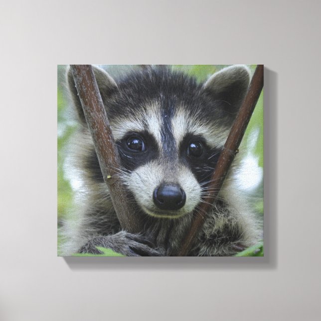 Soulful eyes canvas print (Front)