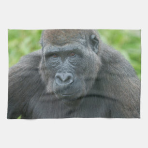 Soulful Eyes of Gorilla Shufai Tea Towel