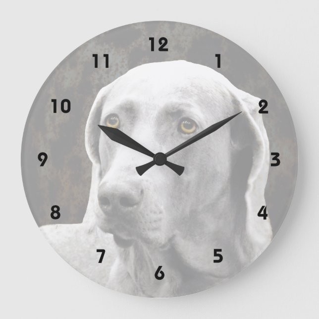 Soulful Eyes of the Weimaraner Large Clock (Front)