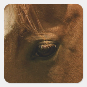 Soulful Horse Eye Square Sticker