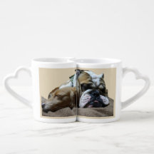 Soulmates Coffee Mug Set for Couples