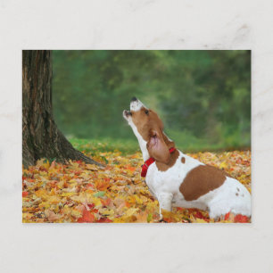 Sound the Alarm Postcard