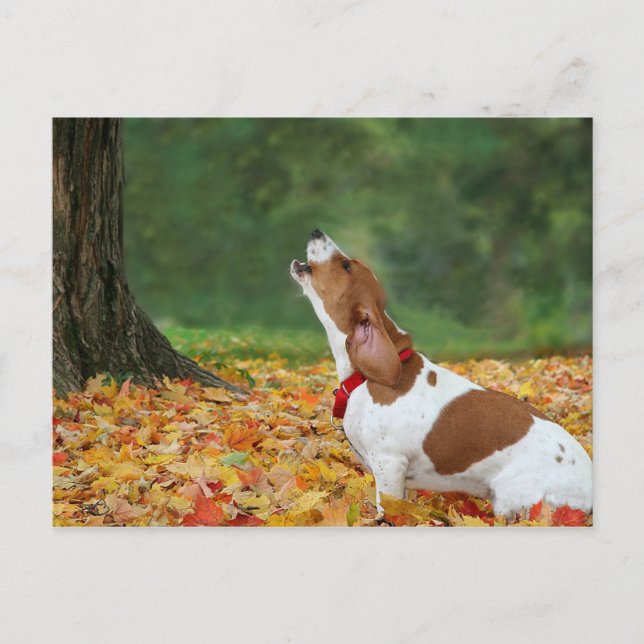 Sound the Alarm Postcard (Front)