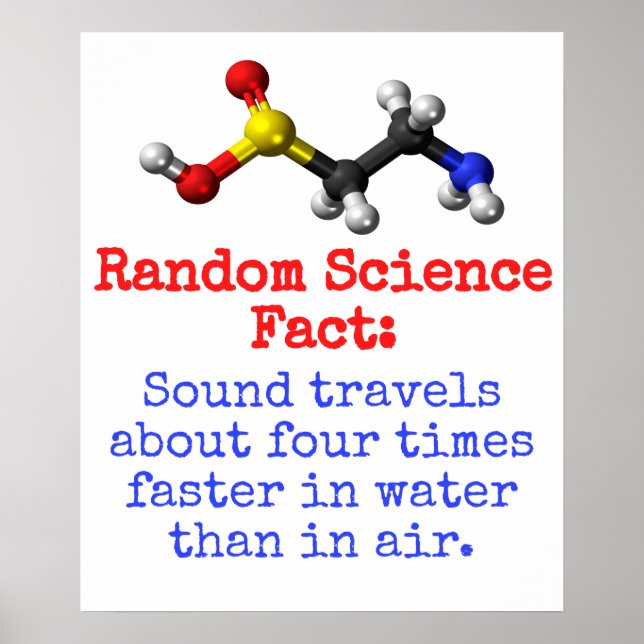 Sound Travels About Four Times Faster - Science Fa Poster (Front)