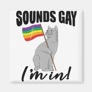Sounds Gay I'm In Cat Magnet