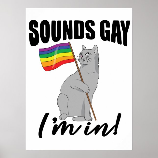 Sounds Gay I'm In Cat Poster (Front)