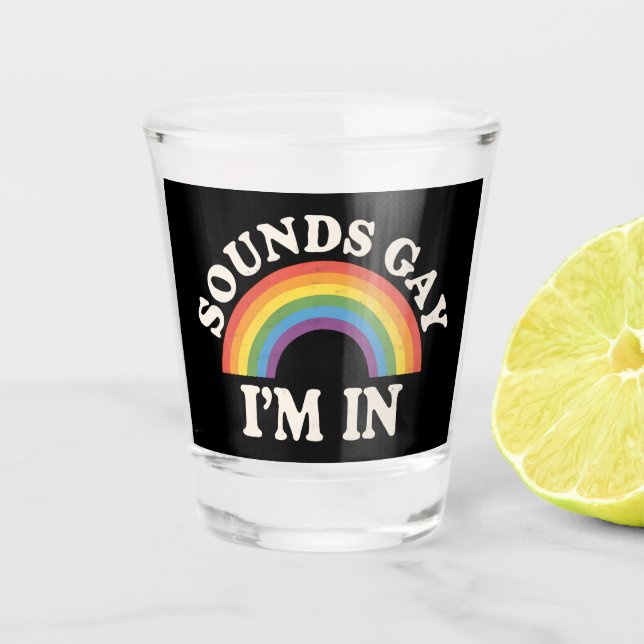 Sounds Gay I'm In Funny LGBTQ Pride Rainbow Shot Glass (Front)
