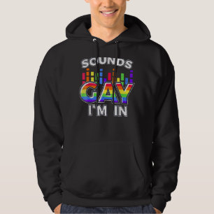 Sounds Gay I'm In With Rainbow Flag For Pride Hoodie