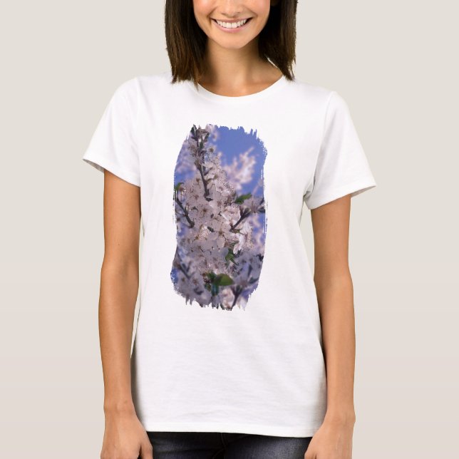 Sour Cherry Tree Blue Sky T-Shirt (Front)