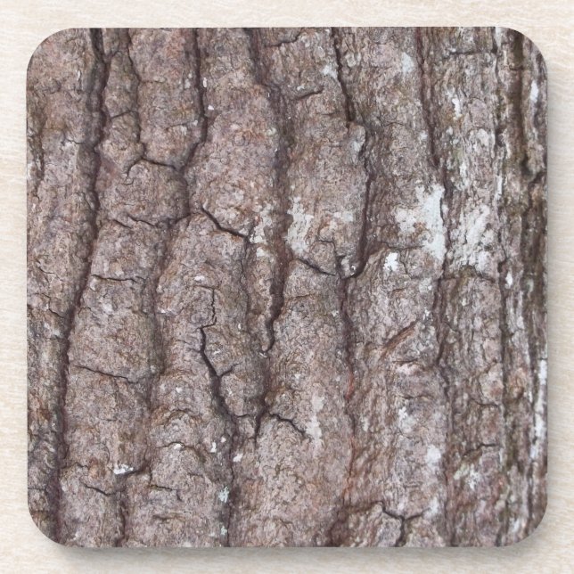 Sourwood Bark Coaster (Front)