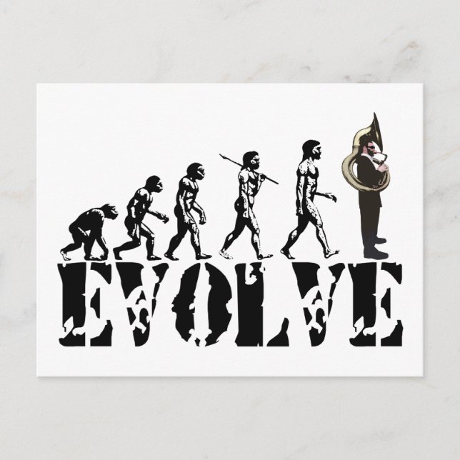 Sousaphone Tuba Tubas Evolution Musical Art Postcard (Front)