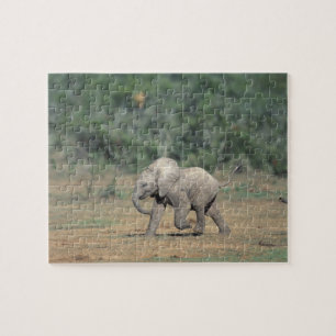 South Africa, Addo Elephant Nat'l Park. Baby Jigsaw Puzzle